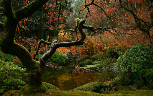 522057 (a): :2560x1600